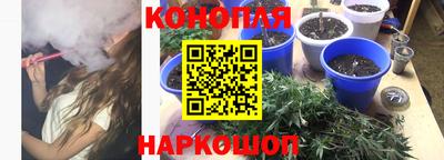 мдма Можга