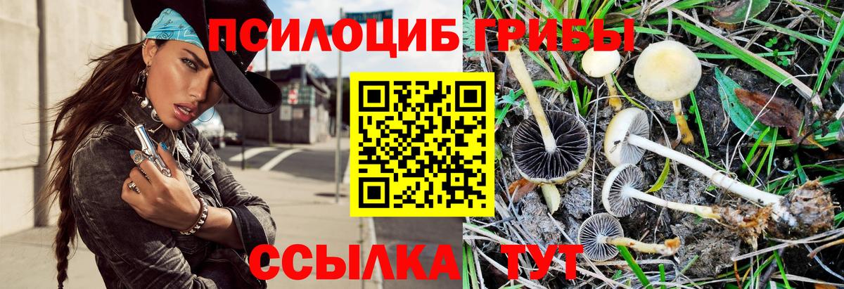 Галлюциногенные грибы MAGIC MUSHROOMS Тольятти