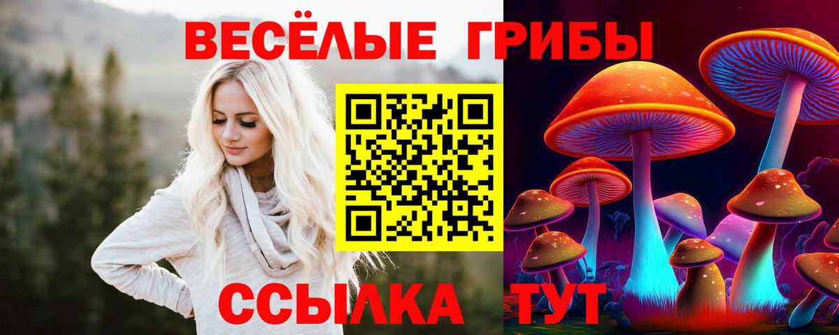 Галлюциногенные грибы прущие грибы  Вход с VPN  Псилоцибиновые грибы GOLDEN TEACHER  Тольятти 